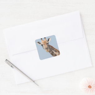 Angolan Giraffe Portrait Square Sticker