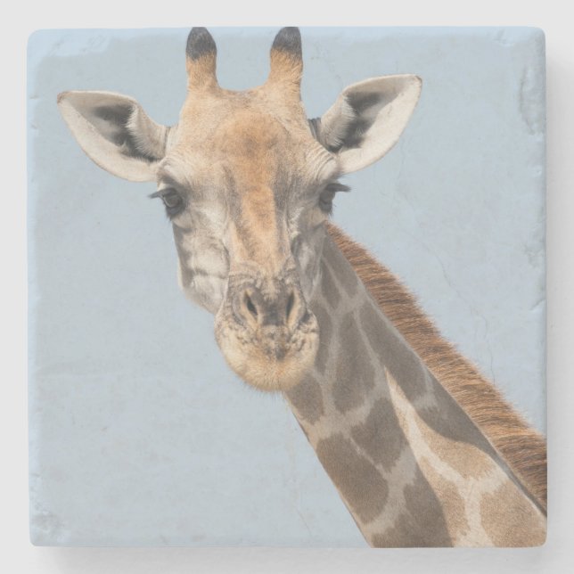Angolan Giraffe Portrait Stone Coaster (Front)