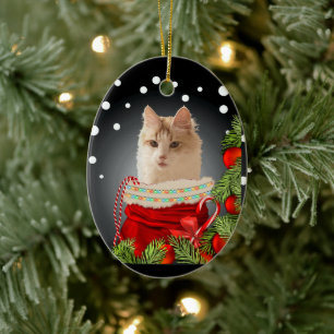 Angora Cat  Ceramic Ornament