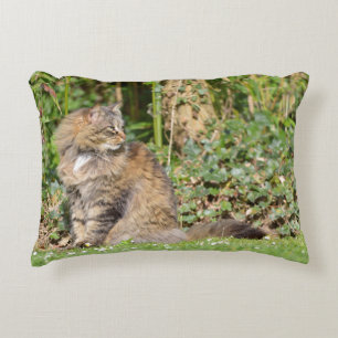 Angora cat decorative cushion
