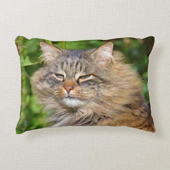 Angora cat decorative cushion (Front)