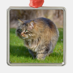 Angora cat metal ornament
