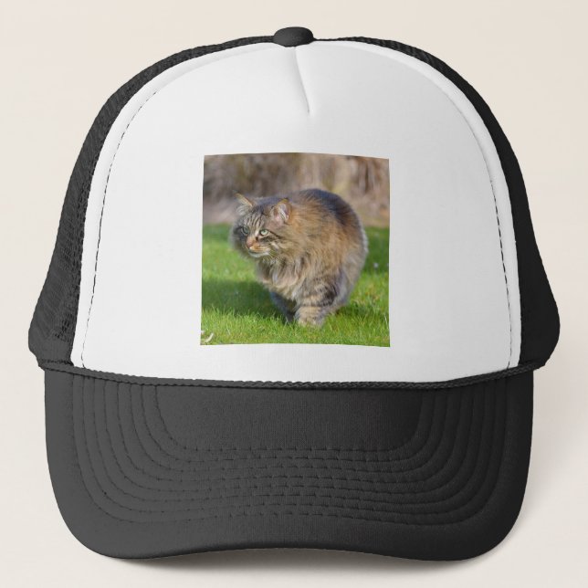 Angora cat trucker hat (Front)