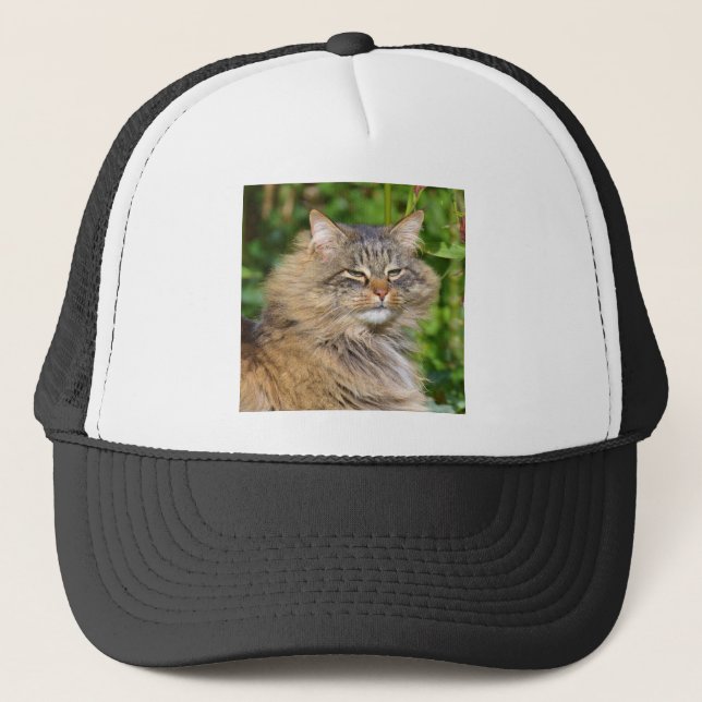 Angora cat trucker hat (Front)
