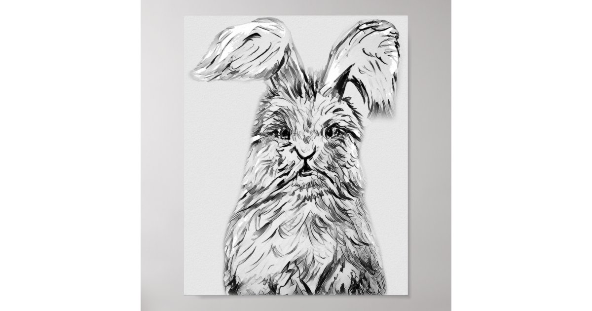 Angora Rabbit Graphite Sketch Poster | Zazzle
