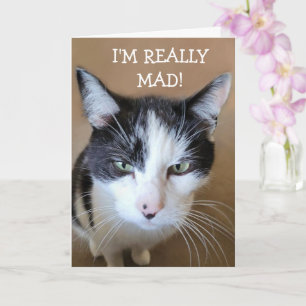 Angry at Cancer Cat Card