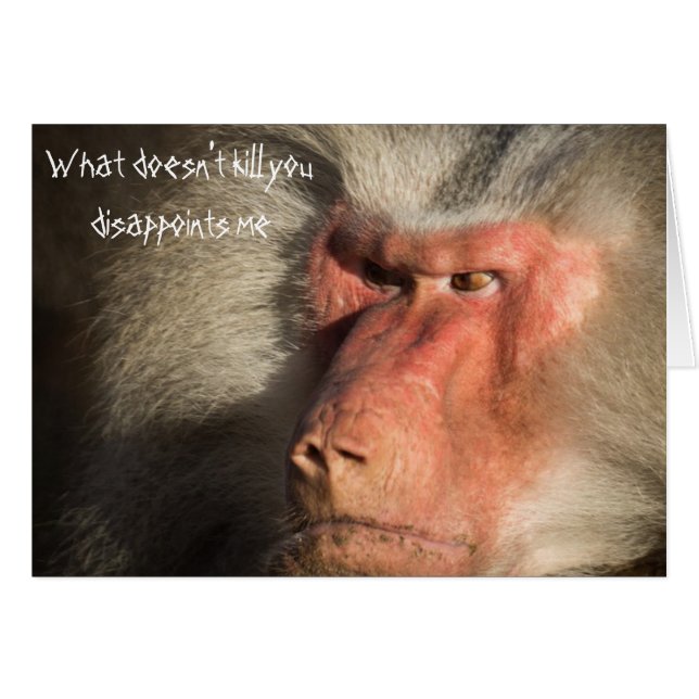 Angry Baboon Monkey What Doesn't Kill  You (Front Horizontal)