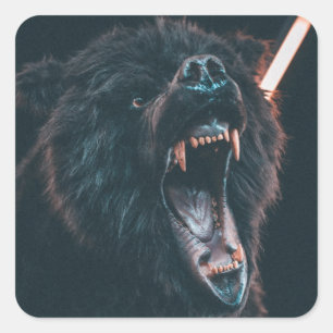 Angry Bear Teeth Black Bear Growl Square Sticker
