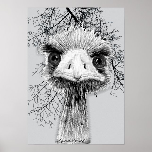 Angry Bird Poster (Front)