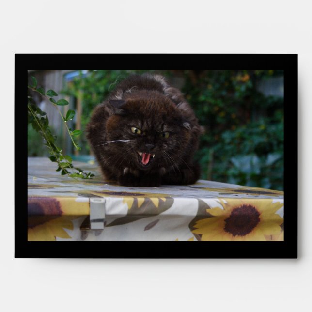 Angry Black Cat Envelopes (Front)