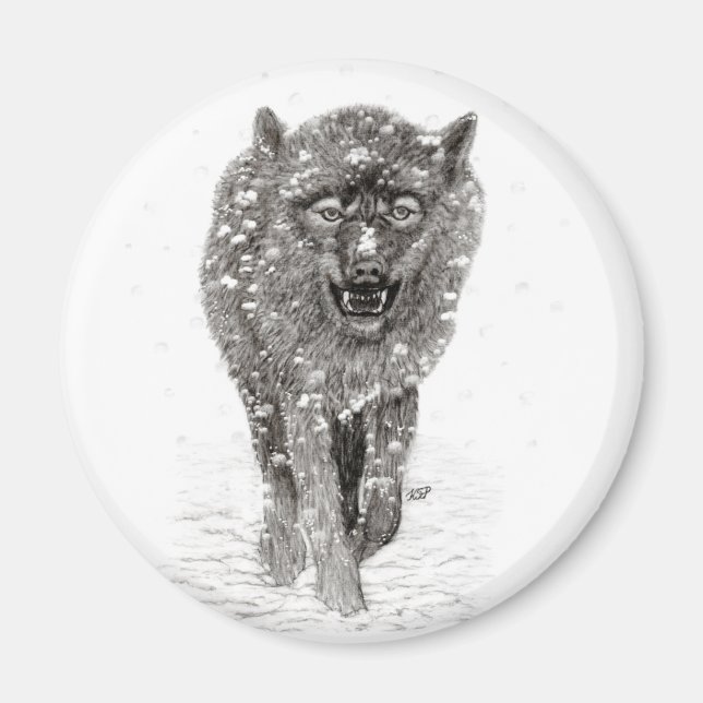 Angry Black Wolf in the Snow , wild Winter Magnet (Front)