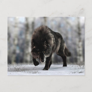 Angry black wolf postcard