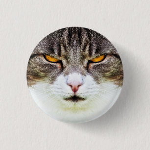 angry cat 3 cm round badge