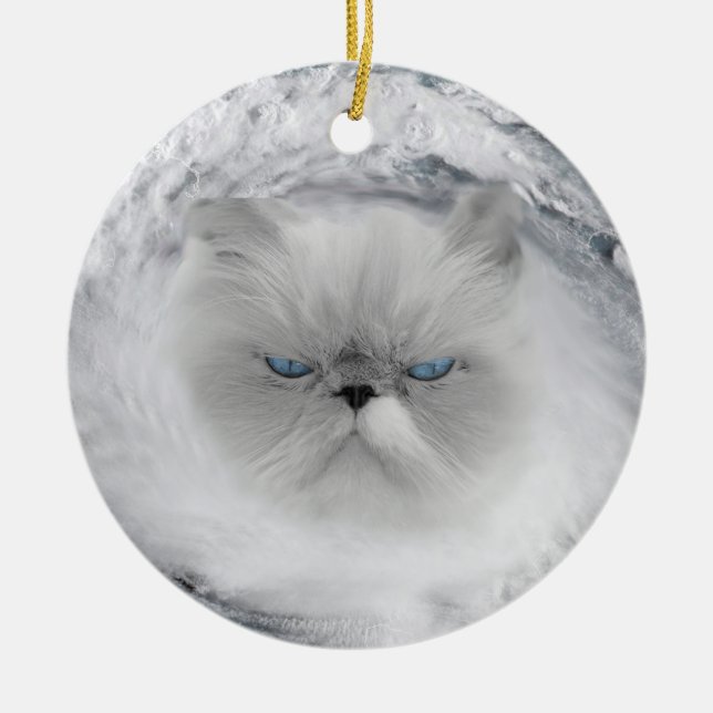 Angry Cat 5 Hurricane Ceramic Ornament (Front)