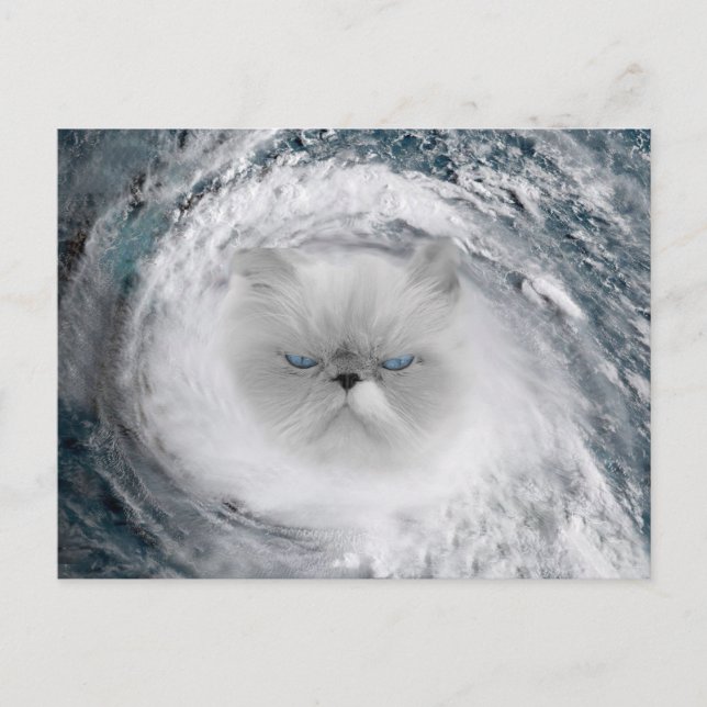 Angry Cat 5 Hurricane Postcard (Front)