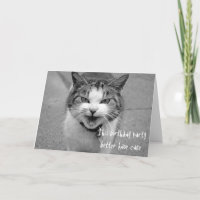 Angry Cat Birthday Party Better Have Cake