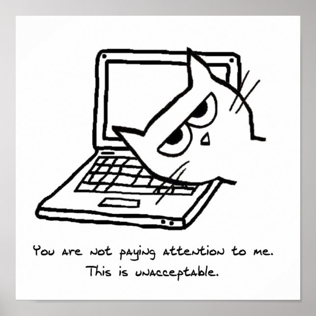 Angry Cat Demands Attention - Funny Cat Poster (Front)