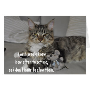 Angry Cat Funny Cute Greeting Card