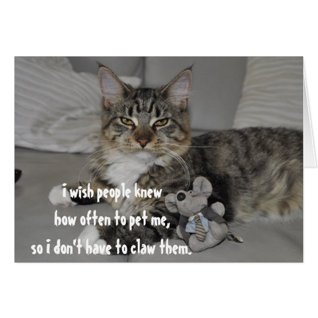 Angry Cat Funny Cute Greeting Card (Front Horizontal)