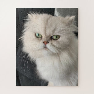 Angry Cat Funny Pet Jigsaw Puzzle