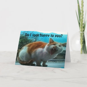 ANGRY CAT GETS POINT ACROSS- ***I MISS YOU!*** CARD