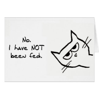 Angry Cat has NOT been fed!