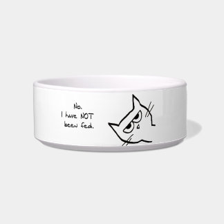 Angry Cat has NOT been fed! Bowl