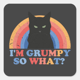 Angry cat I'm grumpy so what funny cats Square Sticker