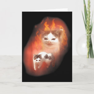 Angry Cat Meme Funny Silly Cat Kitten Lover Humour Card