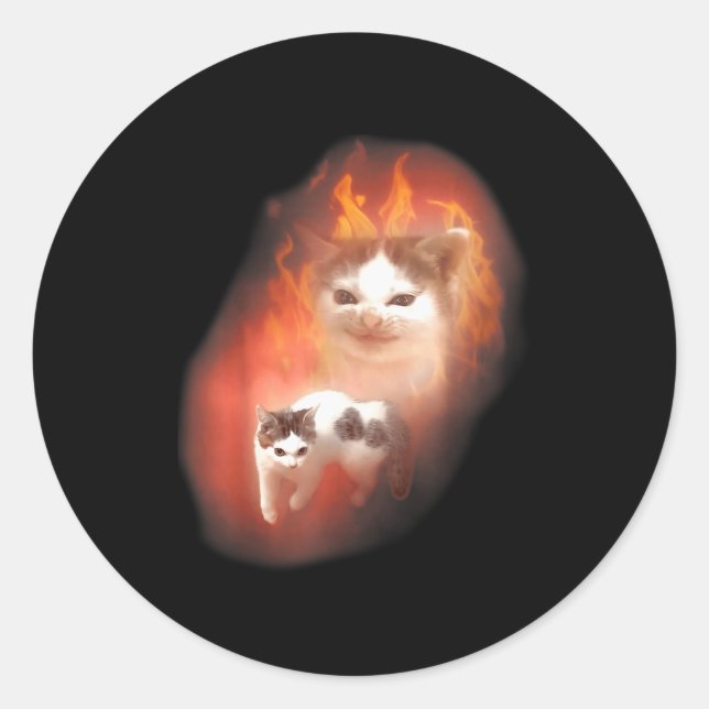 Angry Cat Meme Funny Silly Cat Kitten Lover Humour Classic Round Sticker (Front)