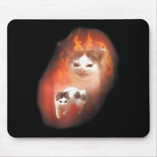 Angry Cat Meme Funny Silly Cat Kitten Lover Humour Mouse Pad