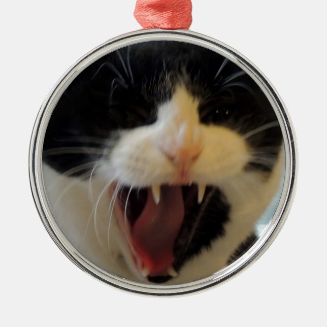 Angry Cat Metal Ornament (Front)