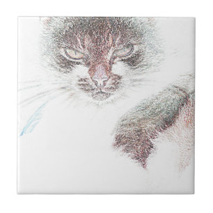 Angry Cute Cate Face Sketch Ceramic Tile