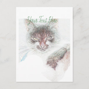 Angry Cute Cate Face Sketch Postcard