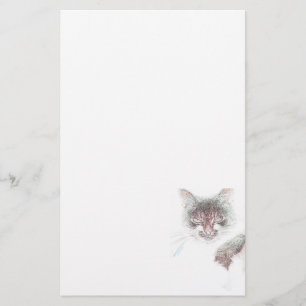 Angry Cute Cate Face Sketch Stationery