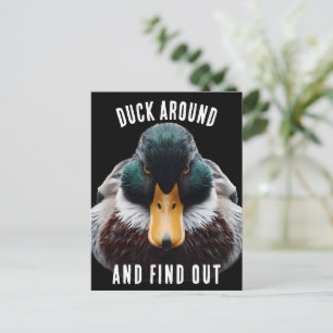 Angry Duck says Duck Around and Find Out Postcard