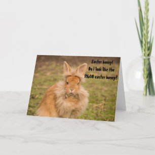 Angry Easter Bunny Funny Humour Greeting Card