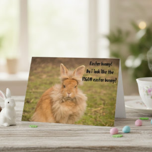 Angry Easter Bunny Funny Humour Greeting Card