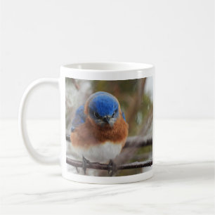 Angry Eastern Bluebird Coffee Mug