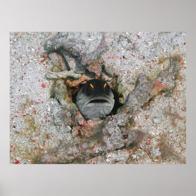 Angry Eyes Poster (Front)