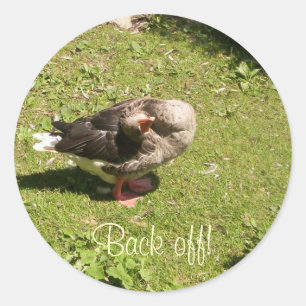 Angry Goose Back Off Stickers