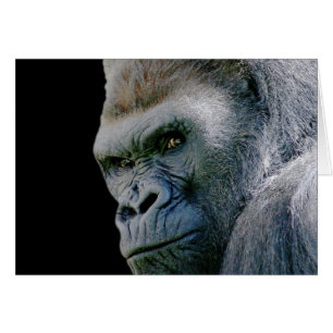 Angry Gorilla
