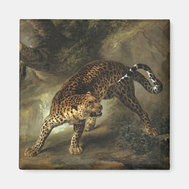 Angry Leopard (by Jean-Baptiste Oudry) Magnet (Front)