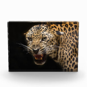 Angry Leopard Photo Block