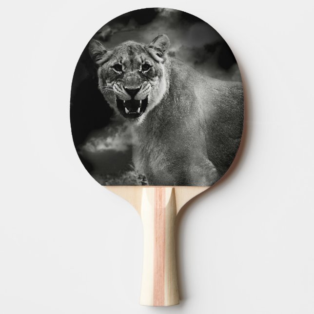 Angry lion in black and white ping pong paddle (Front)