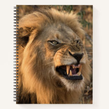 Angry Lion Personalise Name