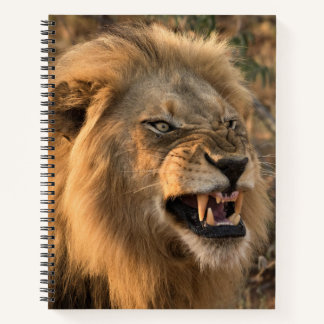Angry Lion Personalise Name Notebook