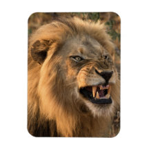 Angry LION Refrigerator Magnet YOUR Photo Template