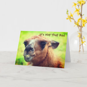 Angry Llama Humourous Another Birthday  Card