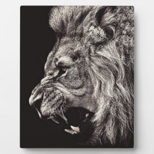 Angry Male Lion Plaque